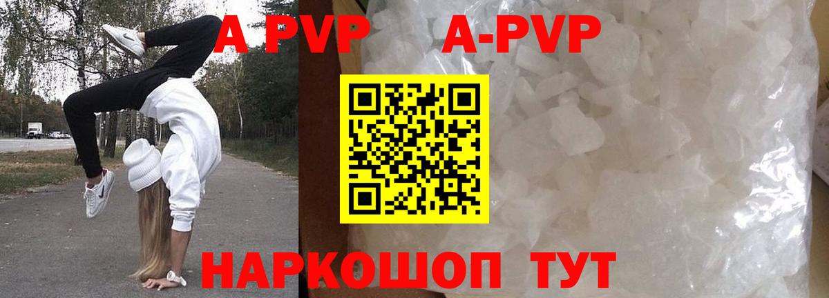 Alfa_PVP СК Ставрополь