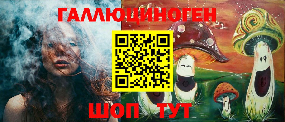 Галлюциногенные грибы Psilocybe Ставрополь